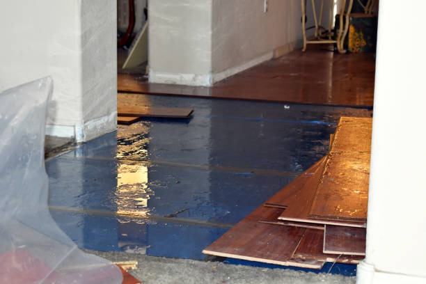 Professional Water Damage Restoration technician working in Wolfeboro, NH
